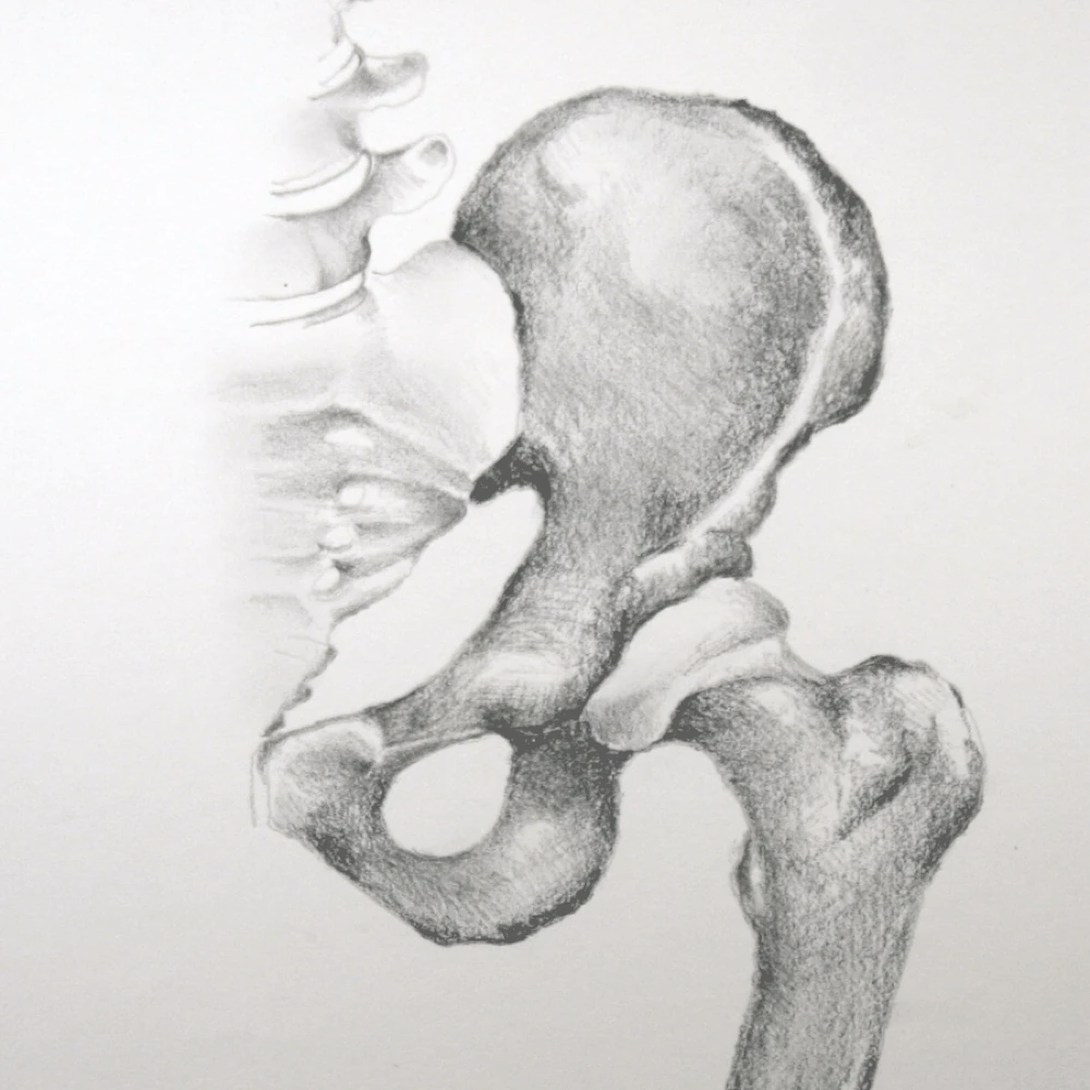 Hand-drawn anatomy illustration — hip arthroscopy